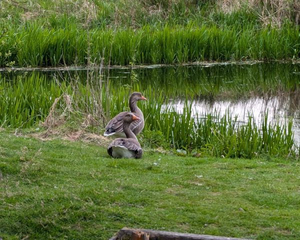 Final Composition - Arch of the Day